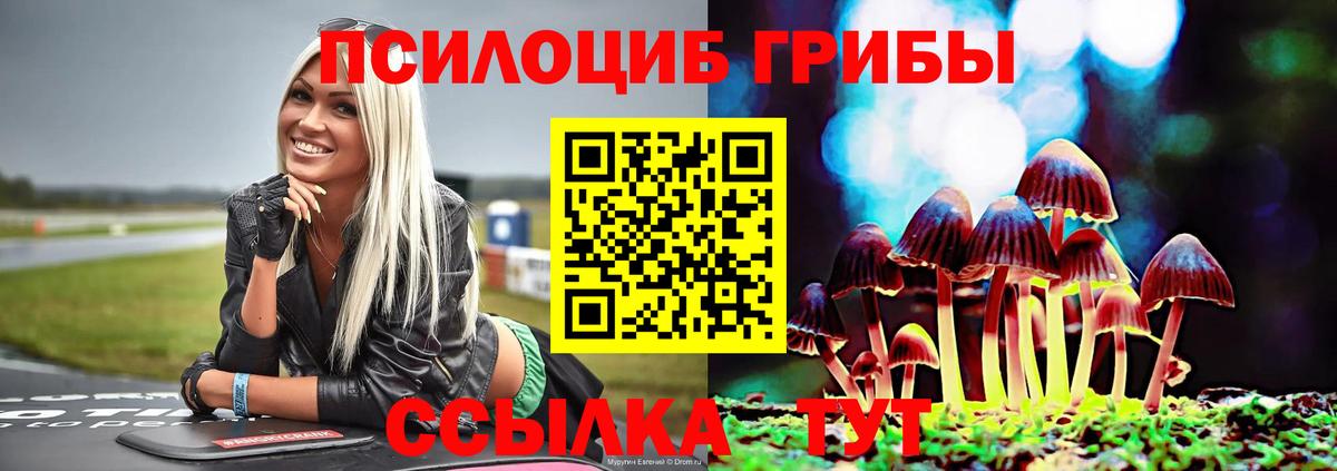 Псилоцибиновые грибы Psilocybine cubensis Тихвин